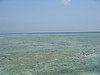 uIMG_0006