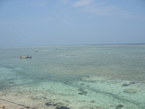 uIMG_0007