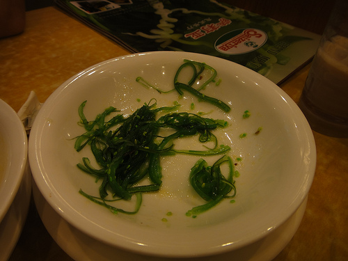 海草