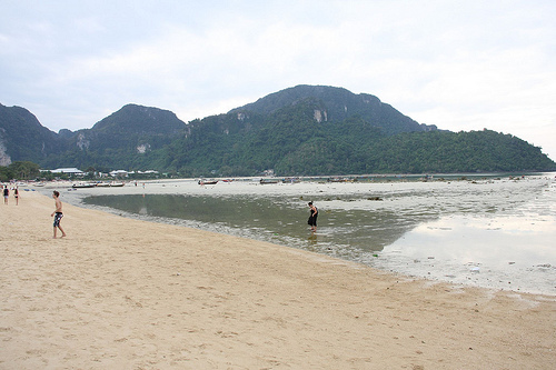 PP的海滩