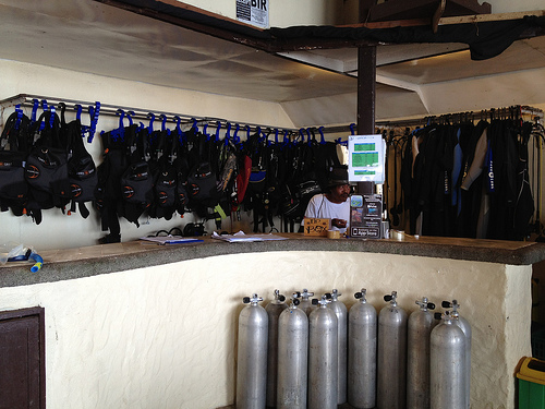 blue:ribbon dive resort